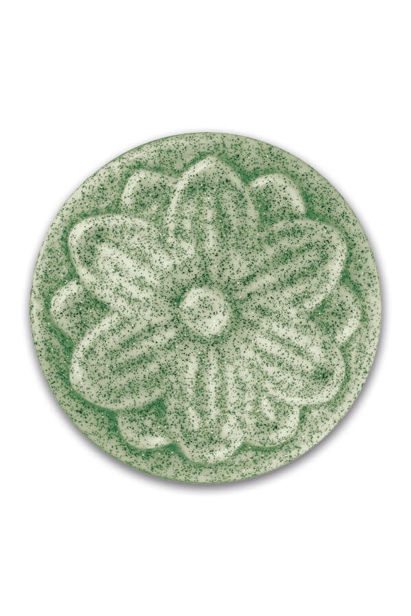 HSS 117 - Sage